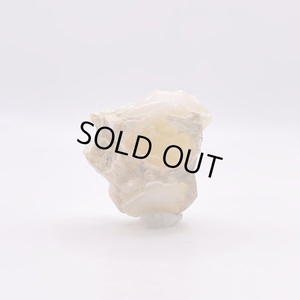 画像8: オパール (8)