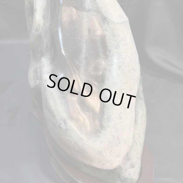 画像4: 蛇石（へび石） (4)