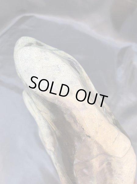 画像5: 蛇石（へび石） (5)