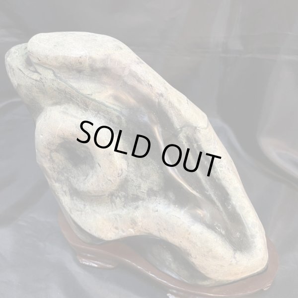 画像6: 蛇石（へび石） (6)