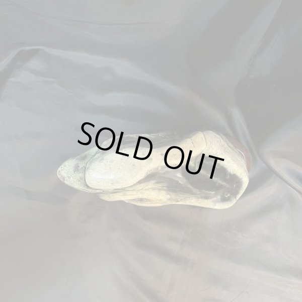 画像7: 蛇石（へび石） (7)