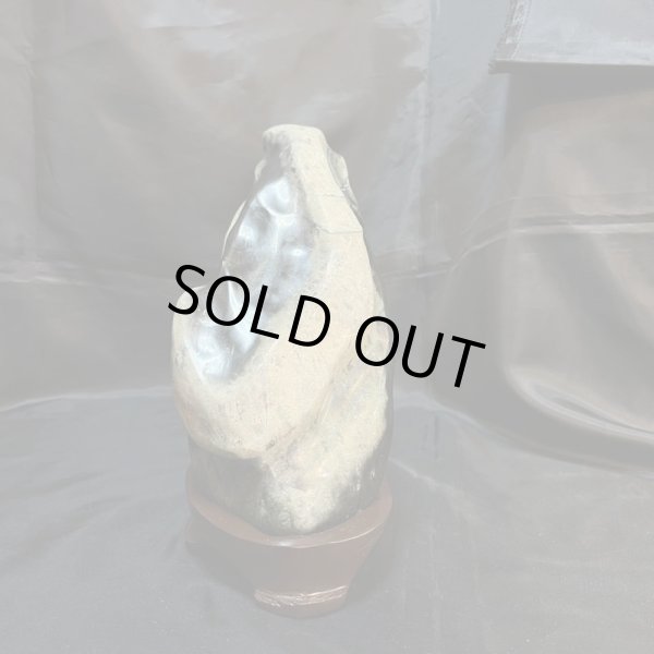 画像8: 蛇石（へび石） (8)