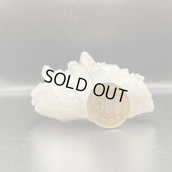 画像7: トマスゴンサガ産・水晶クラスター (7)