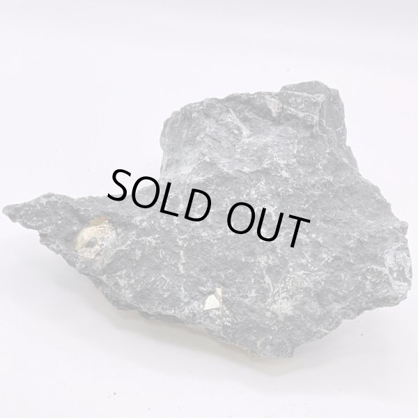 画像4: 【国産】新潟県産・パイライト (4)