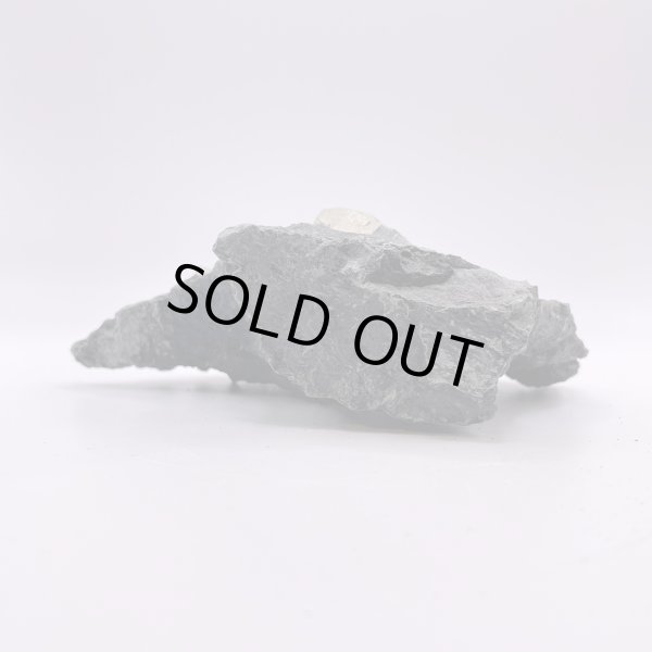 画像7: 【国産】新潟県産・パイライト (7)