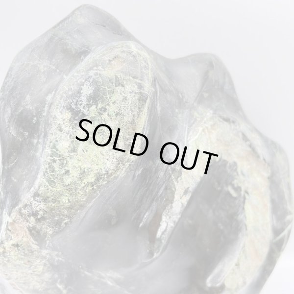 画像7: 蛇石（へび石） (7)