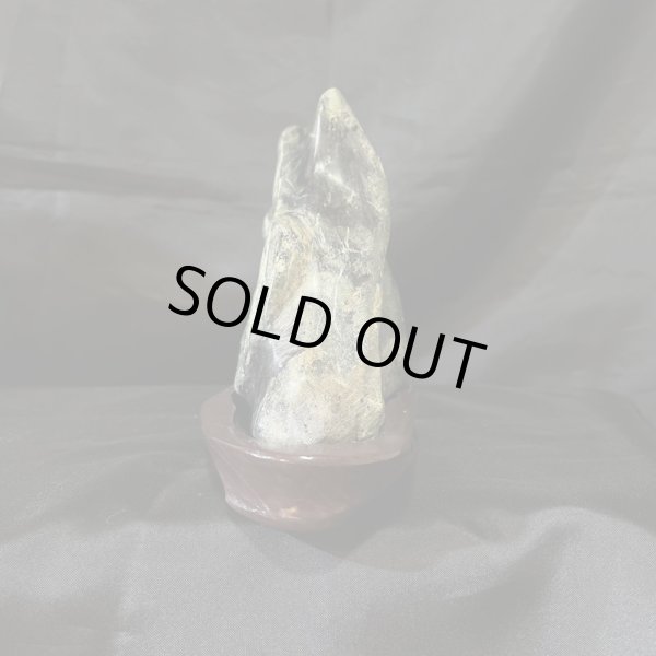 画像2: 蛇石(へび石) (2)