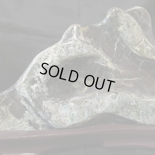 画像8: 蛇石(へび石) (8)