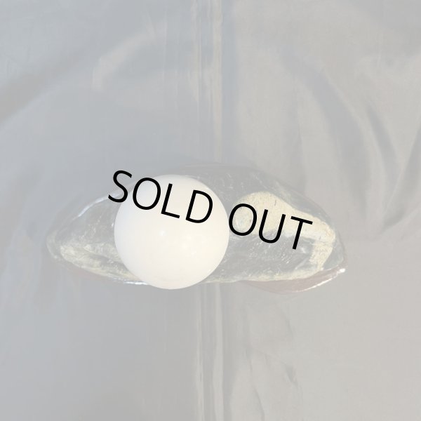 画像5: 蛇石・大理石丸玉付（へび石） (5)