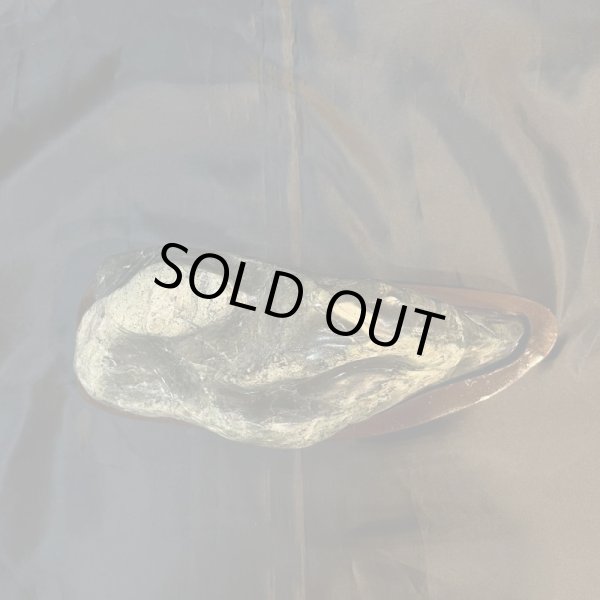 画像5: 蛇石（へび石） (5)