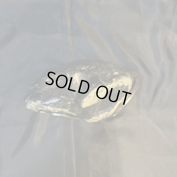 画像6: 蛇石（へび石） (6)