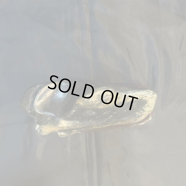 画像5: 蛇石(へび石) (5)