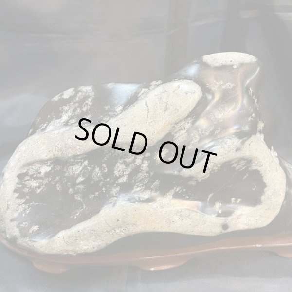 画像2: 蛇石（へび石） (2)