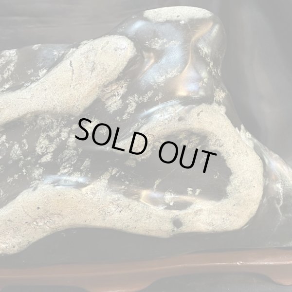 画像3: 蛇石（へび石） (3)