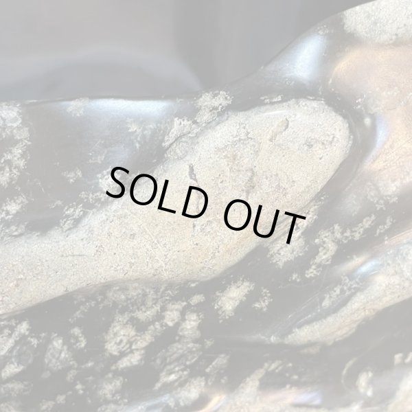 画像4: 蛇石（へび石） (4)