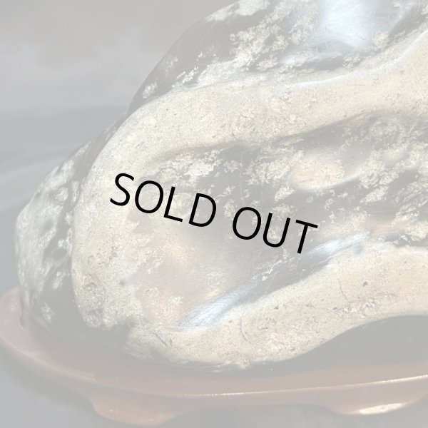 画像5: 蛇石（へび石） (5)