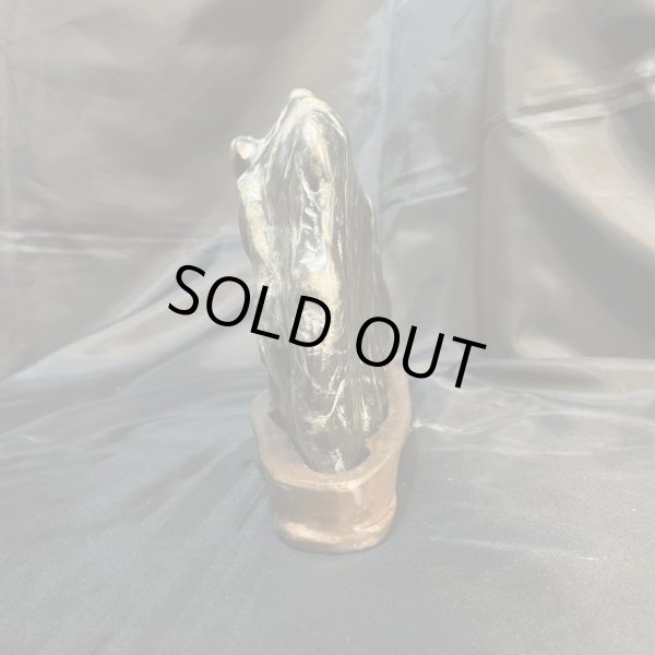 画像7: 蛇石（へび石） (7)