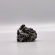画像1: カンポ・デル・シエロ隕石 (1)