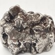 画像6: カンポ・デル・シエロ隕石 (6)