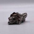 画像2: カンポ・デル・シエロ隕石 (2)