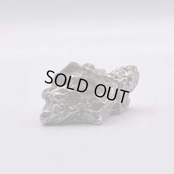 画像2: カンポ・デル・シエロ隕石 (2)