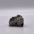 画像3: カンポ・デル・シエロ隕石 (3)