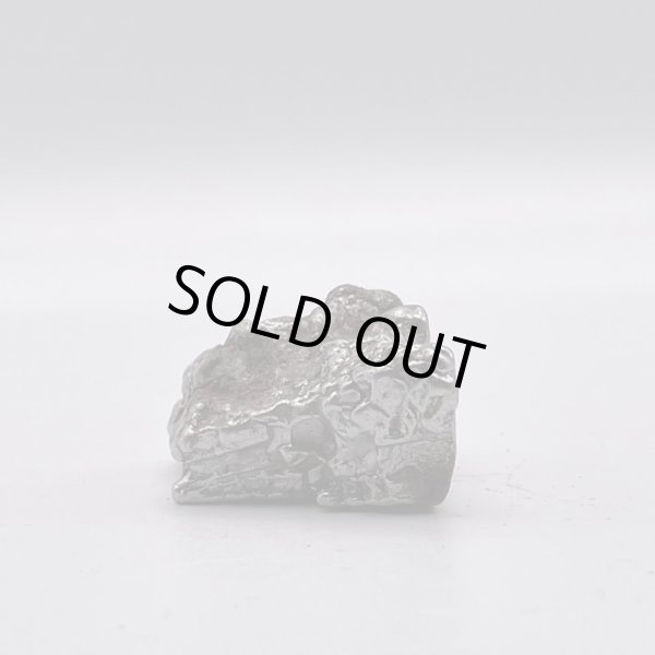 画像3: カンポ・デル・シエロ隕石 (3)