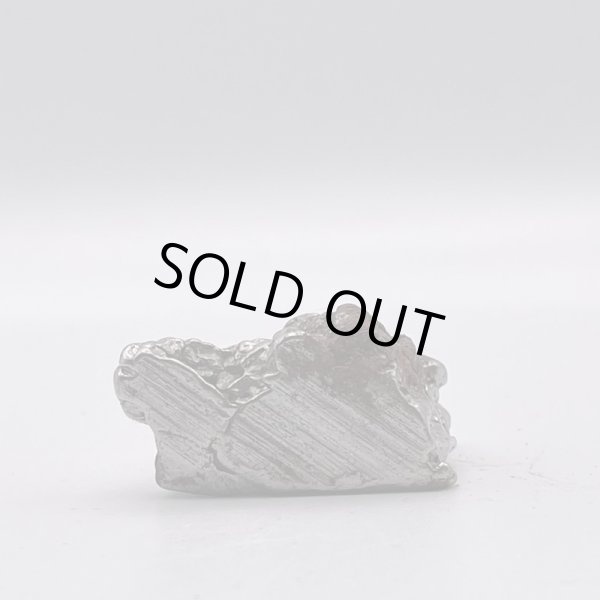 画像4: カンポ・デル・シエロ隕石 (4)