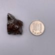 画像5: カンポ・デル・シエロ隕石 (5)