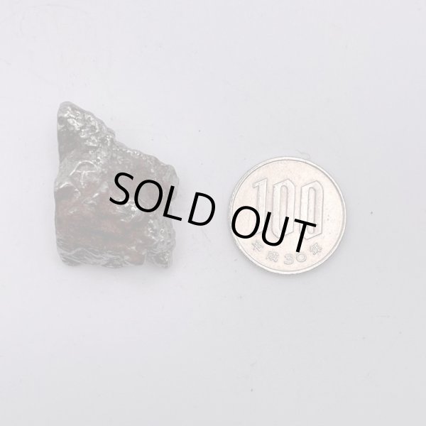 画像5: カンポ・デル・シエロ隕石 (5)