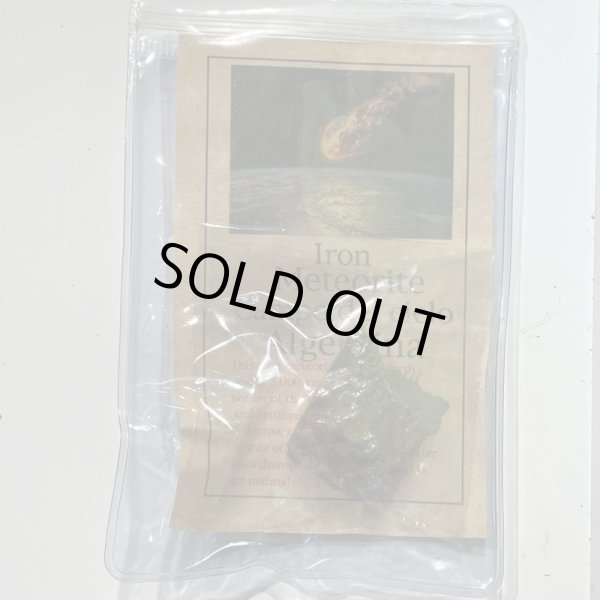 画像7: カンポ・デル・シエロ隕石 (7)