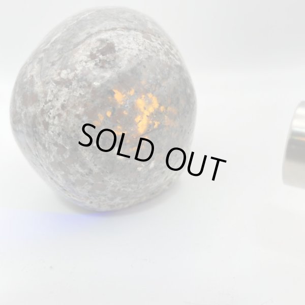 画像10: ユーパーライト・スカル (10)