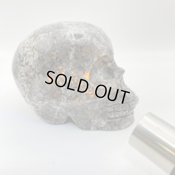 画像11: ユーパーライト・スカル (11)