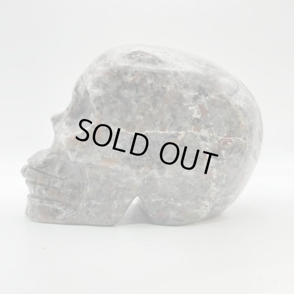 画像3: ユーパーライト・スカル (3)