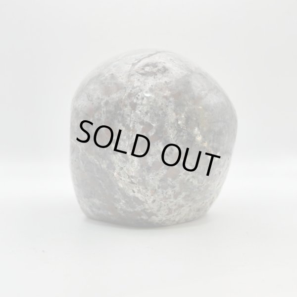 画像4: ユーパーライト・スカル (4)