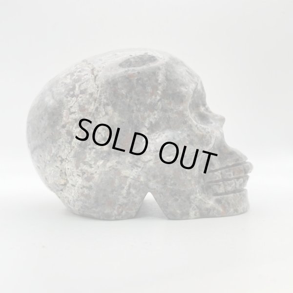 画像5: ユーパーライト・スカル (5)