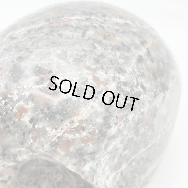 画像8: ユーパーライト・スカル (8)