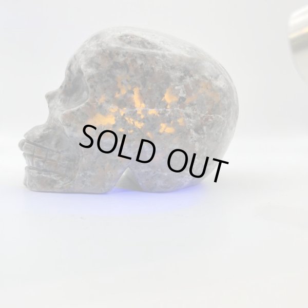 画像9: ユーパーライト・スカル (9)