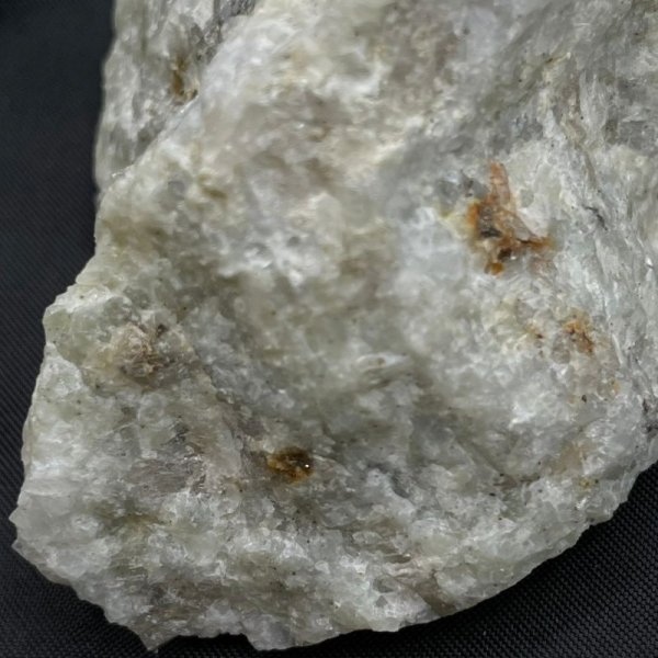 画像4: ウェルネライト (4)