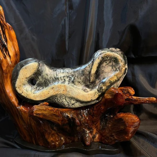 画像4: 蛇石・木製台座付(へび石) (4)