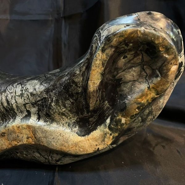 画像8: 蛇石・木製台座付(へび石) (8)