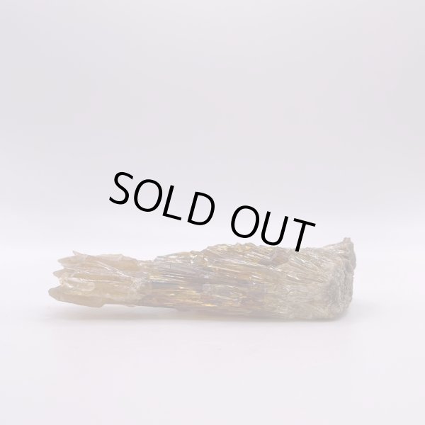 画像10: ハニーアンバー (10)