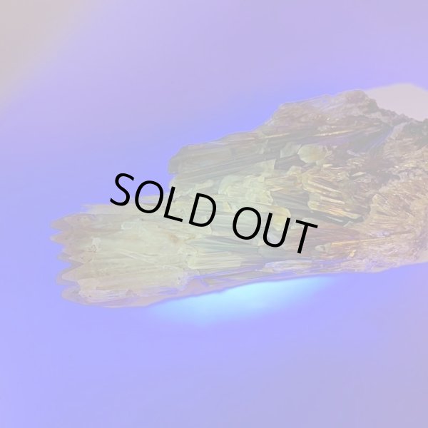 画像2: ハニーアンバー (2)