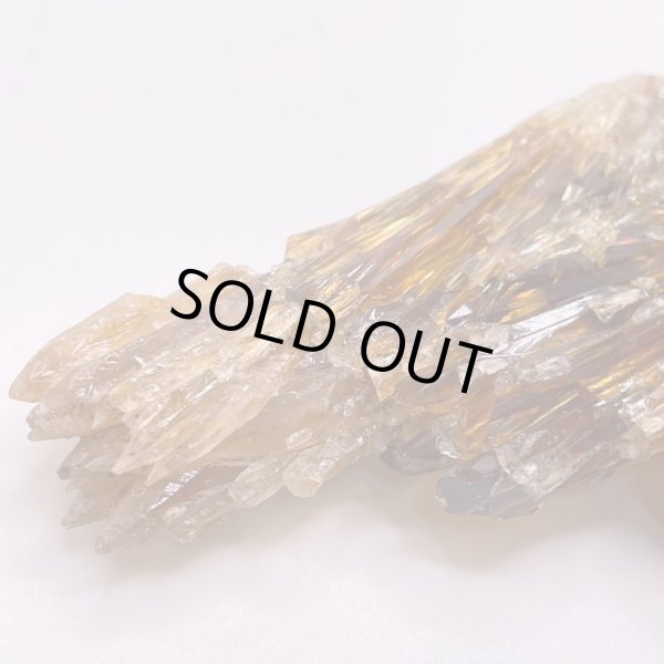 画像3: ハニーアンバー (3)