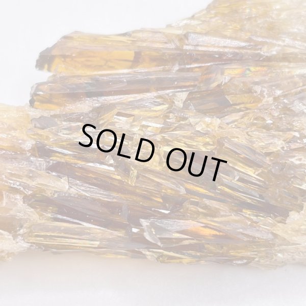 画像4: ハニーアンバー (4)