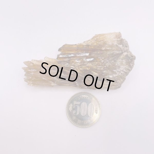 画像5: ハニーアンバー (5)