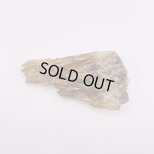 画像6: ハニーアンバー (6)