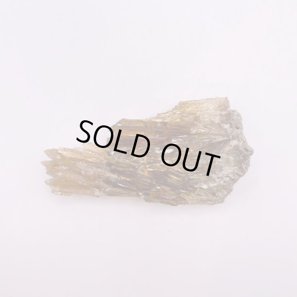 画像7: ハニーアンバー (7)