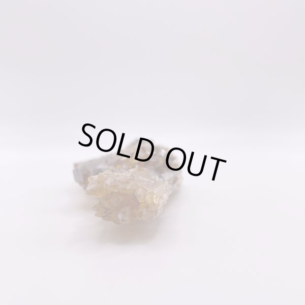 画像8: ハニーアンバー (8)