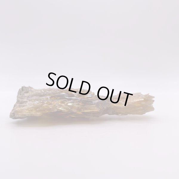 画像9: ハニーアンバー (9)